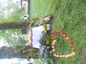 dscn5448